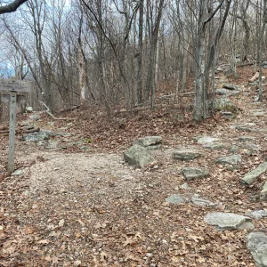 Spur trail going up to Big Schloss Mountain