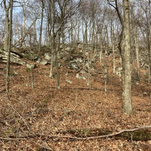 The ridge I shouldered along