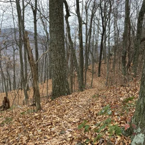 Coming up on the ledge