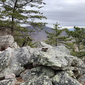 Views from the ridge