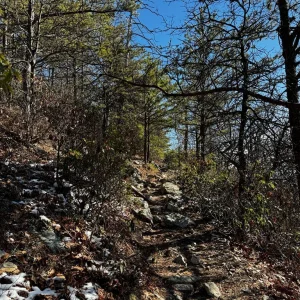 Typical condition of the Massanutten Trail