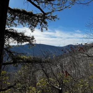 Views of the valley looking south