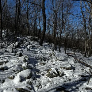 Still some snow up on the trail
