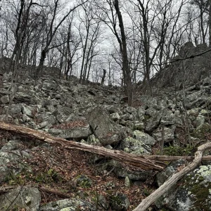 What I believe is glacial till