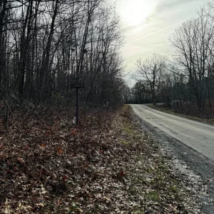 FR 374 Coming From Edinburg.jpg