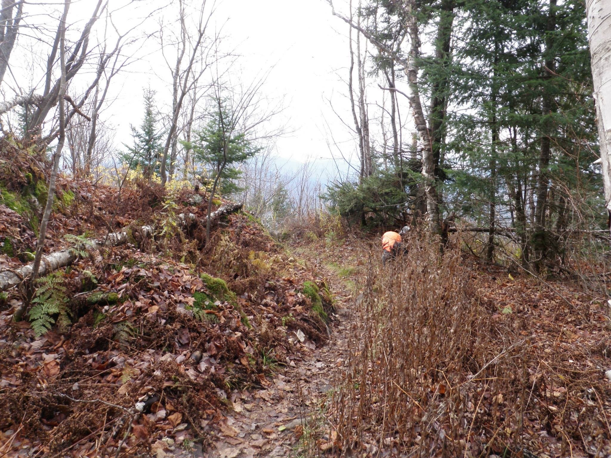 10478278_10203900809258756_7495428676067734106_o