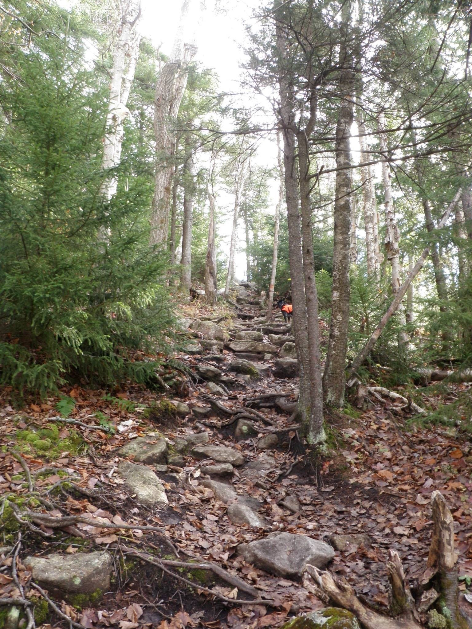 10514171_10203900795978424_5039800730408367611_o