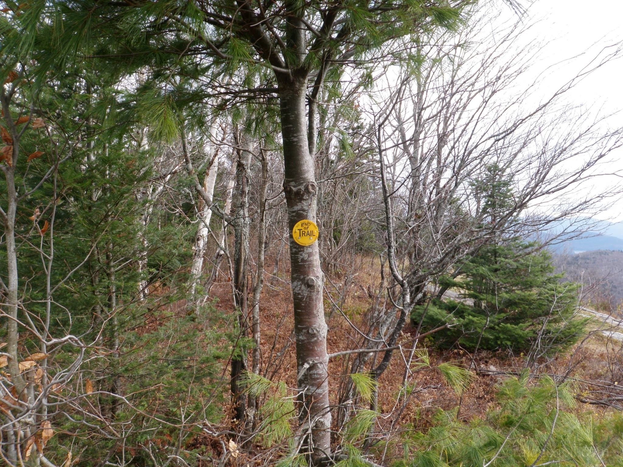 10547881_10203900800178529_9066138759631971560_o