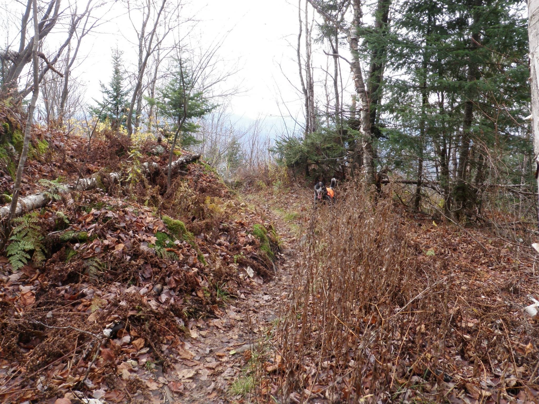 10636542_10203900809458761_4405461737402238851_o