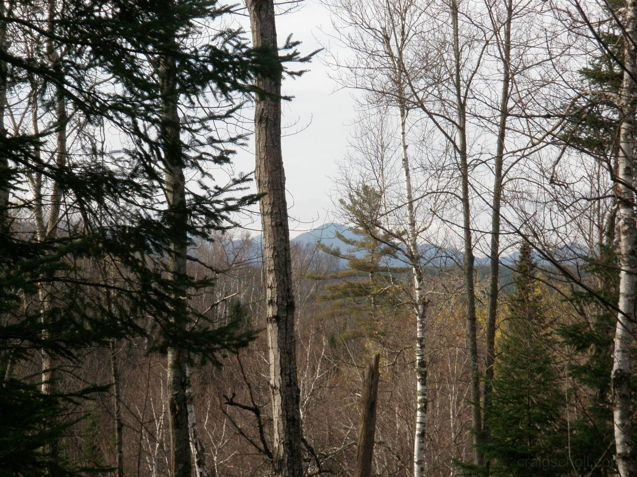 10700216_10203900793058351_5009360198603795200_o