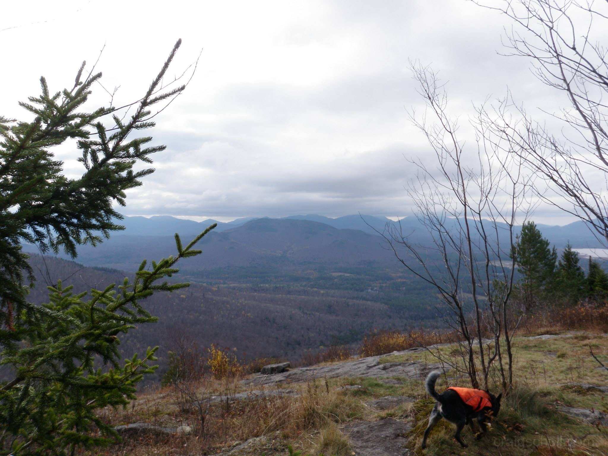 10700732_10203900800538538_9163471833274374970_o