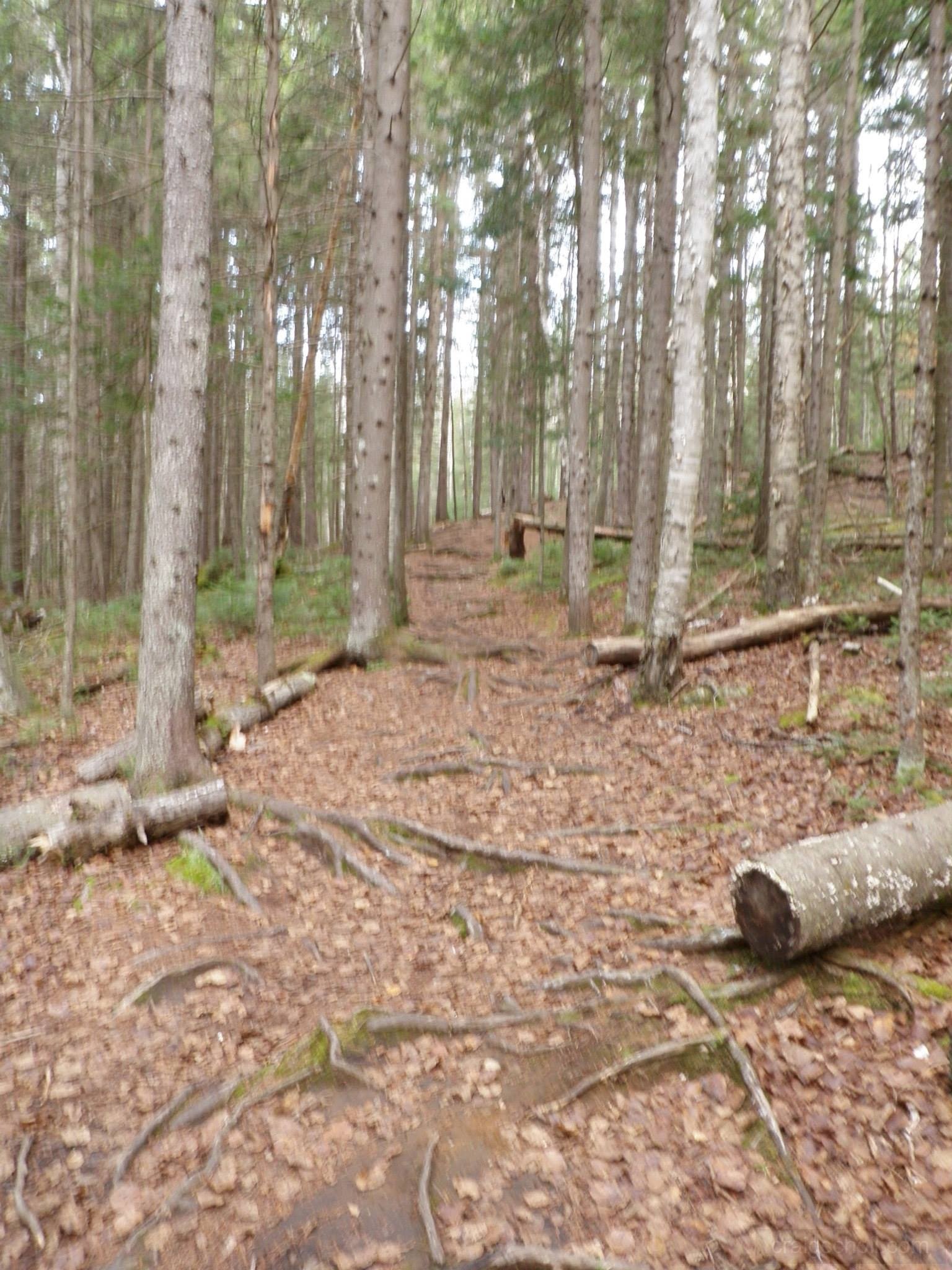 10708551_10203900789418260_1163998432565591764_o