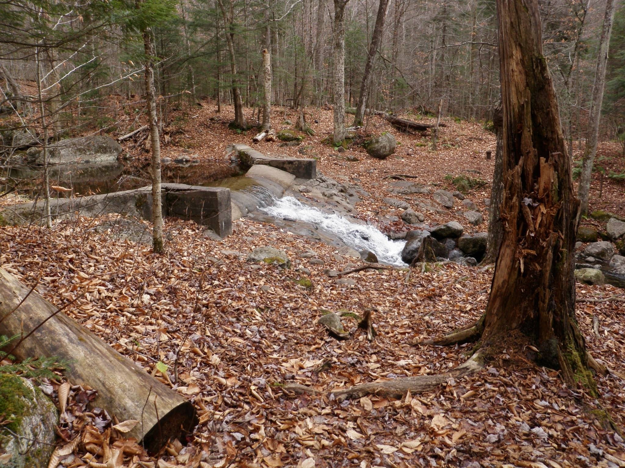 10710293_10203900810938798_4862866485429644831_o