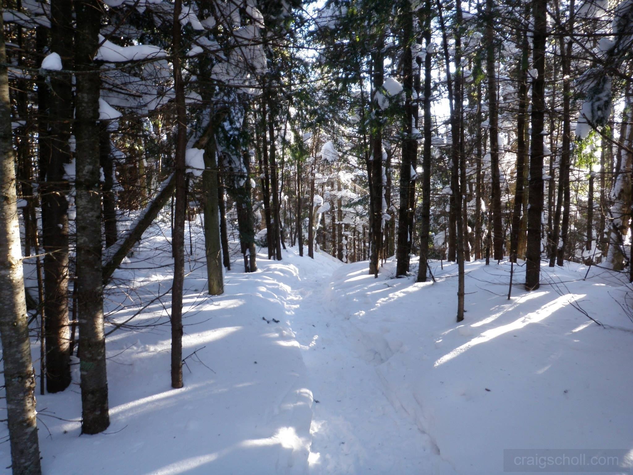 1146861_10204727152076810_3998355497805498931_o