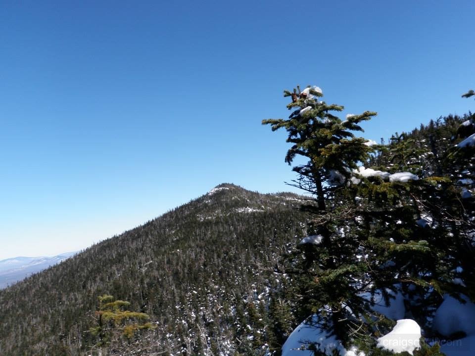 1554608_10202292220165034_374211909_n