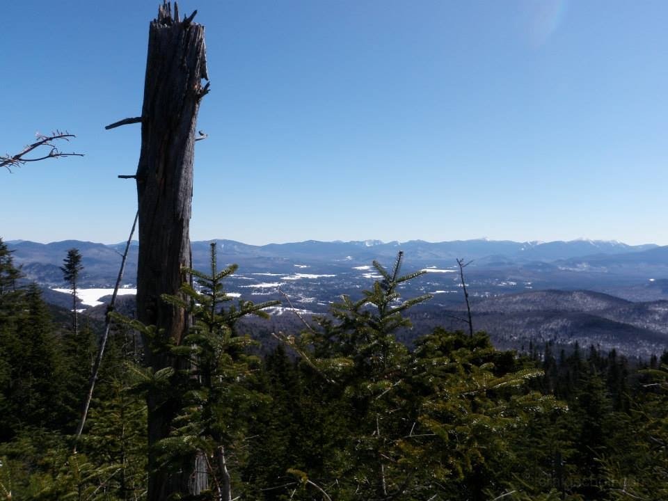 1794560_10202292221805075_400076159_n