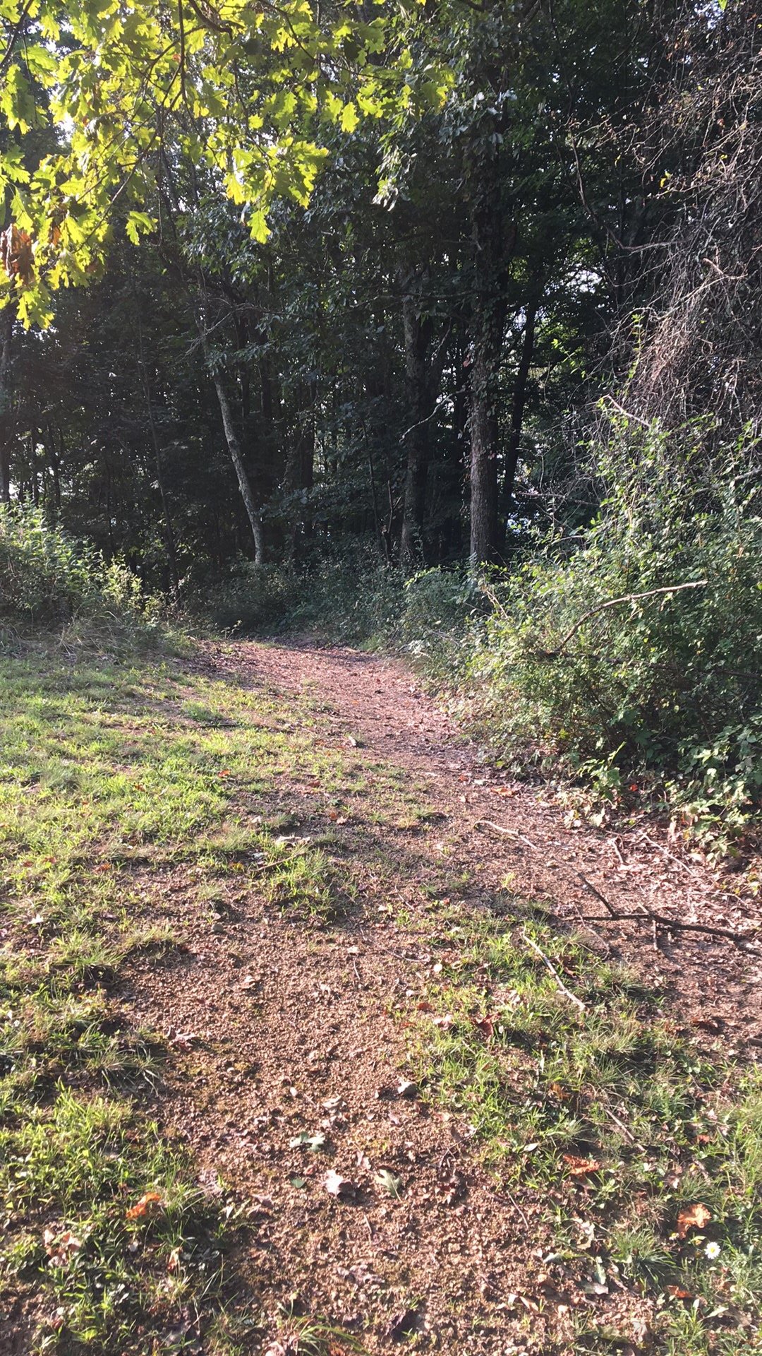 655B4231-0D62-456A-8FFA-49BD595F3DAA