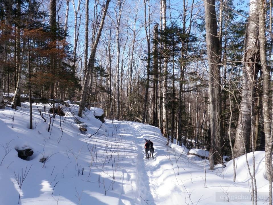 743_10202292216444941_561096223_n