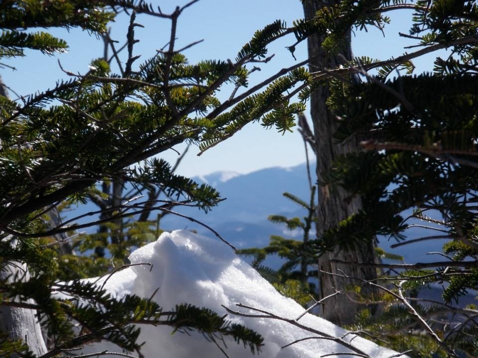 75980_10202292220805050_222883956_n