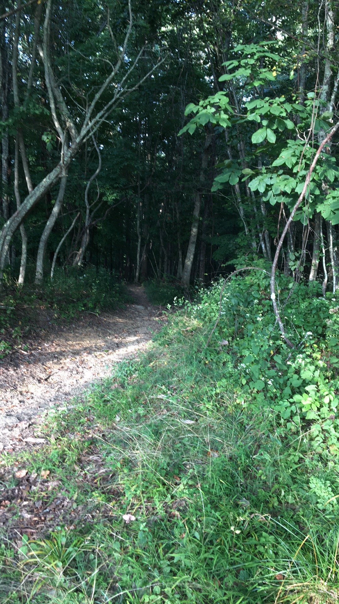 8E4D2BD9-17BC-4BB0-90C7-01F6C739C294