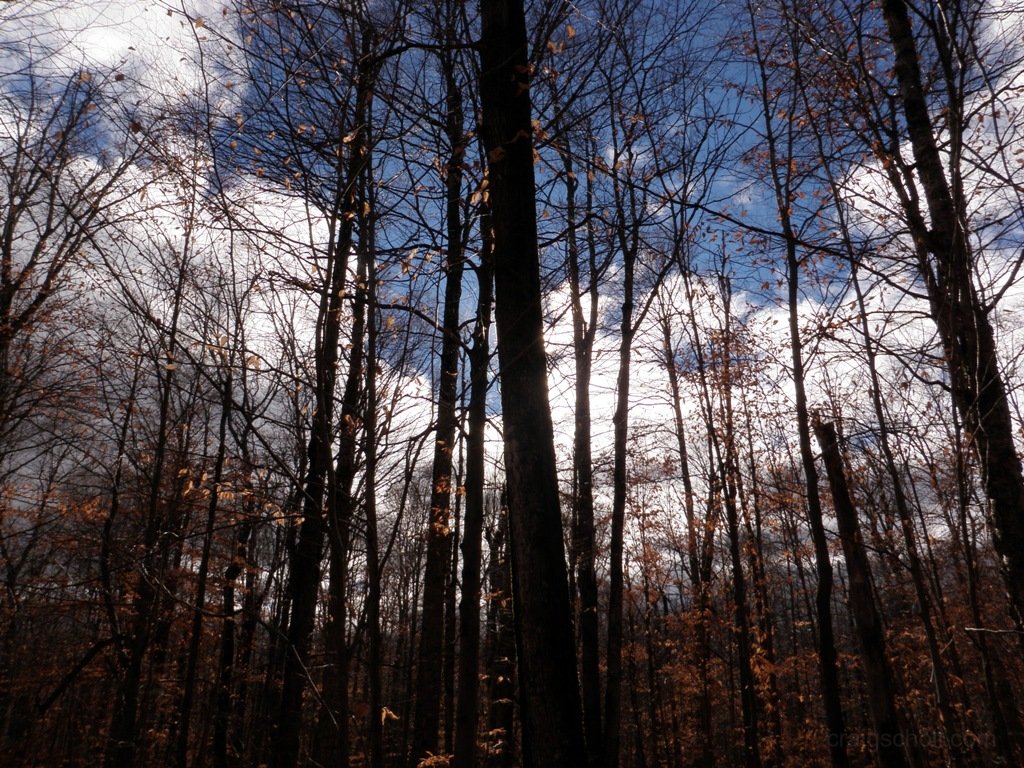 A beautiful fall day