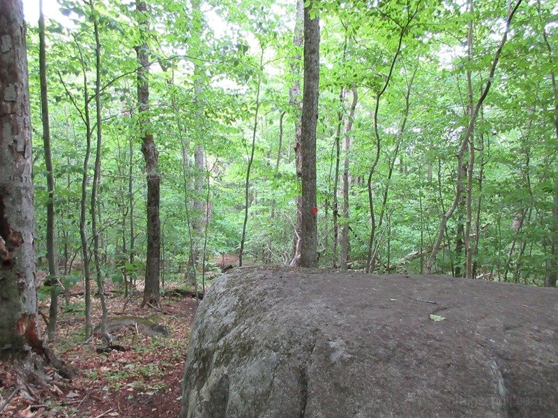 A few large rocks along the trail