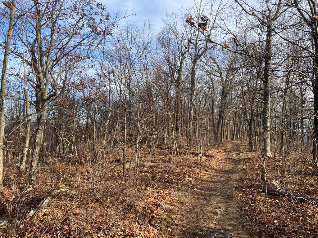 A nice section of trail