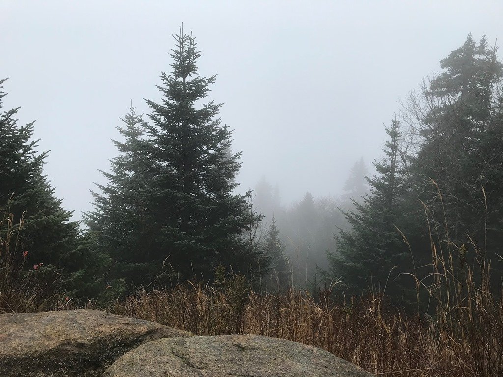 A walk in the clouds