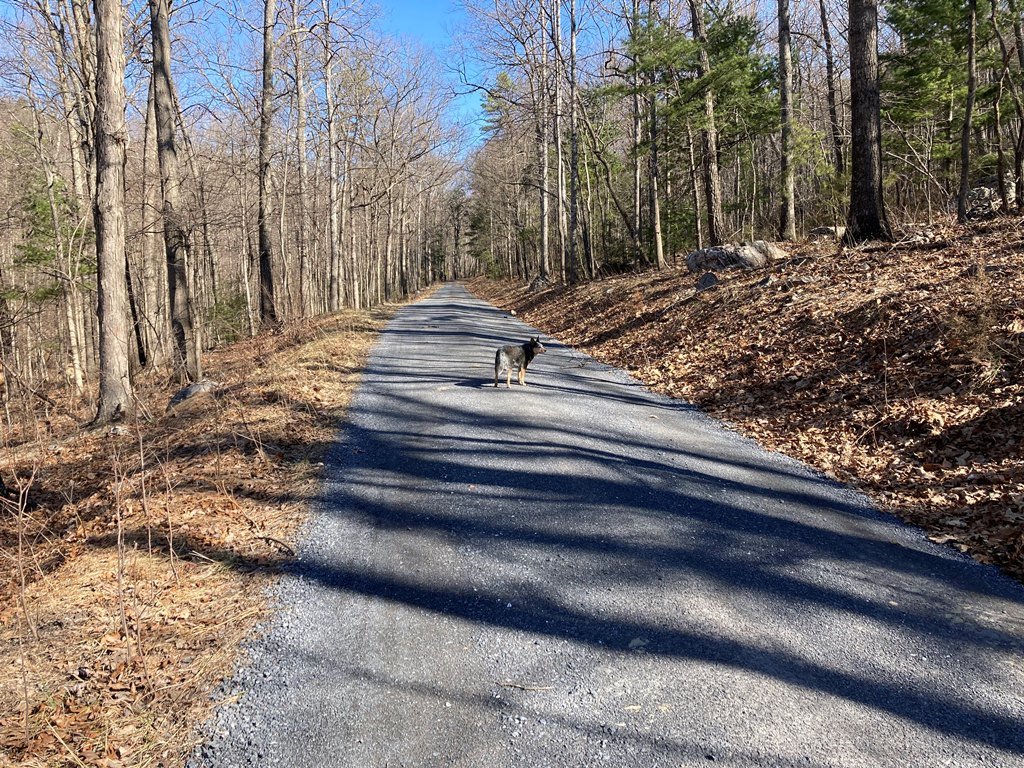 About a 1.5 mile road walk.