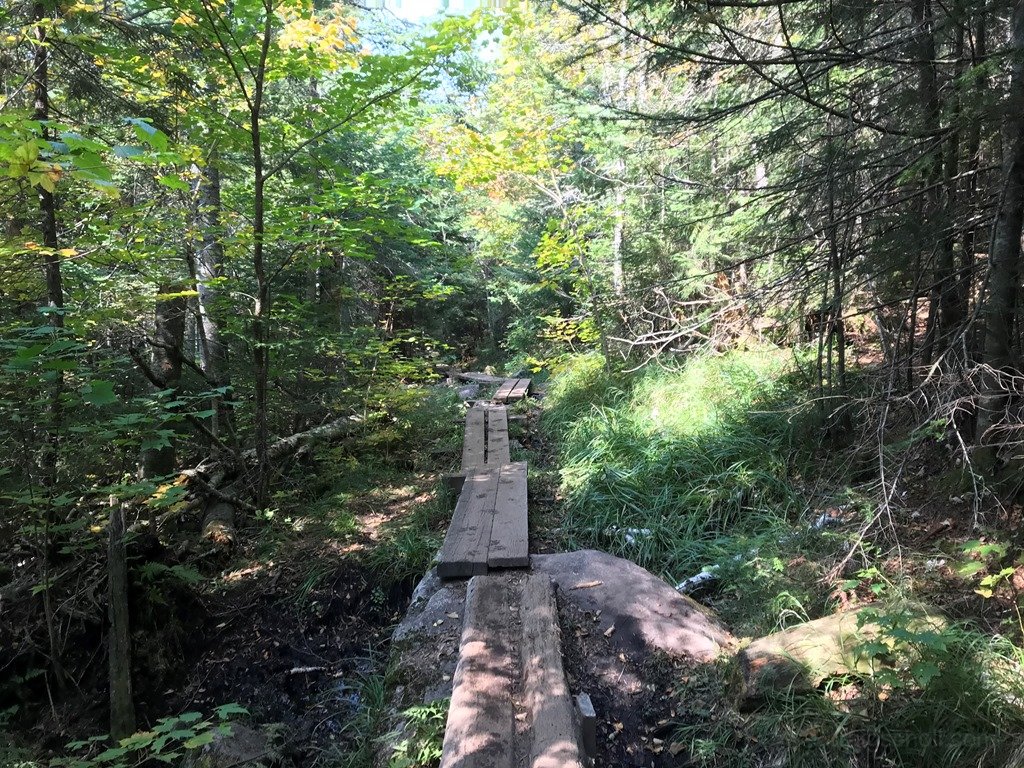 Along the Van Hoevenberg trail