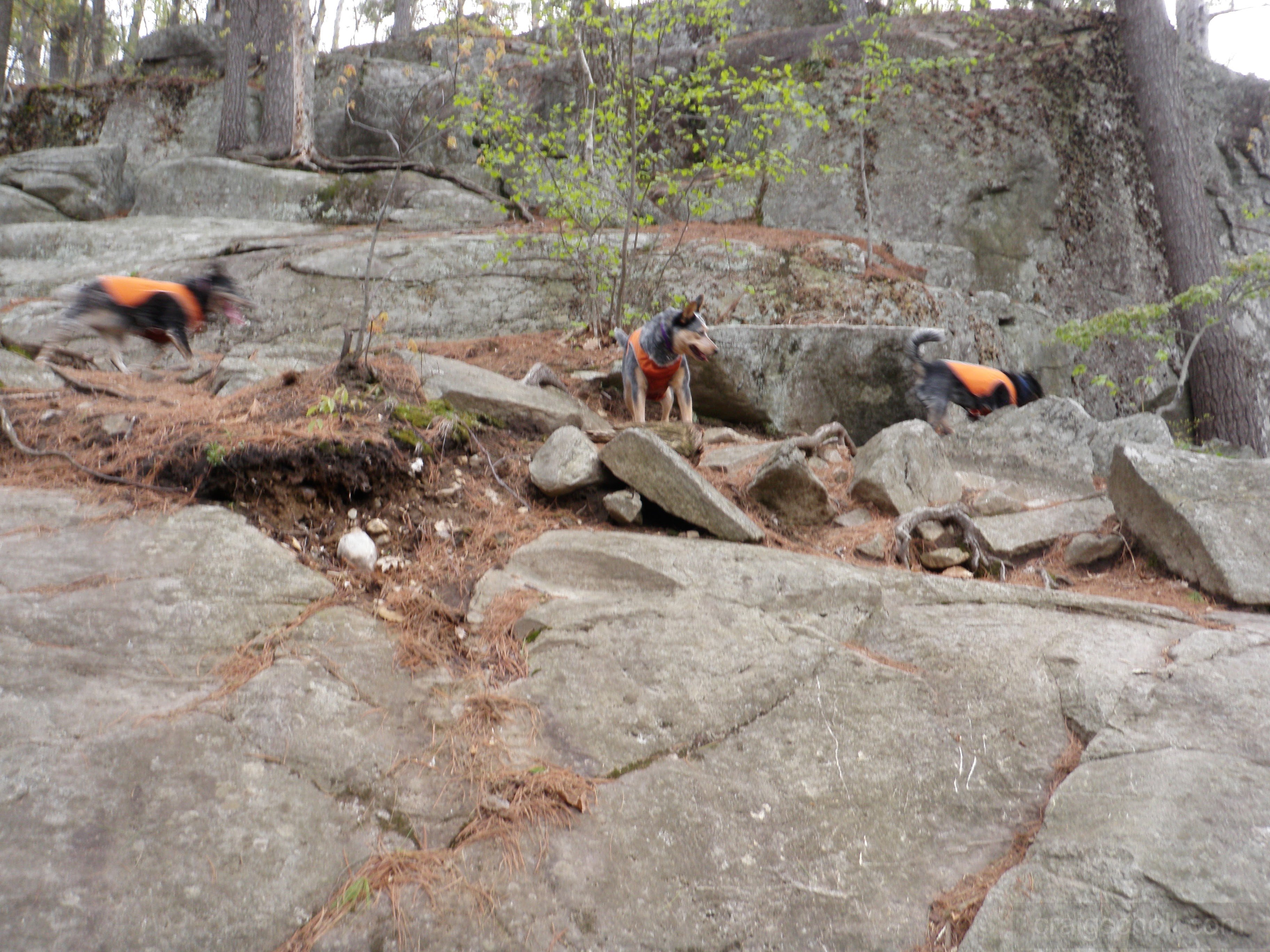 Always fun to explore