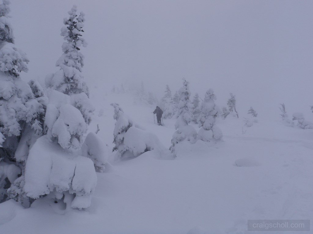 Approaching Gothics via the cornice