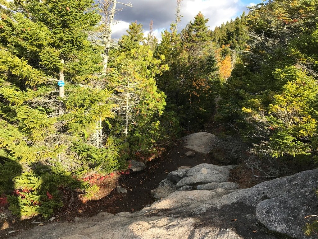 Back in the woods we go