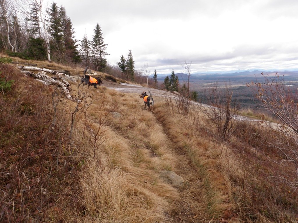 Beautiful views on the ledge below the tower