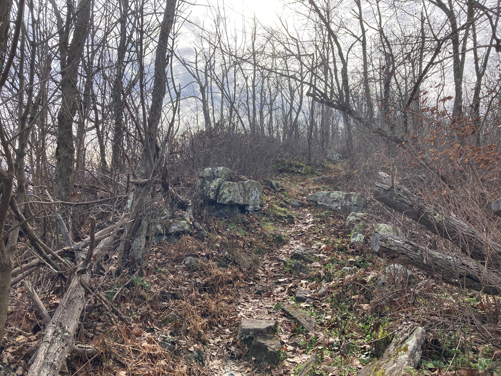 Big Schloss in the distance