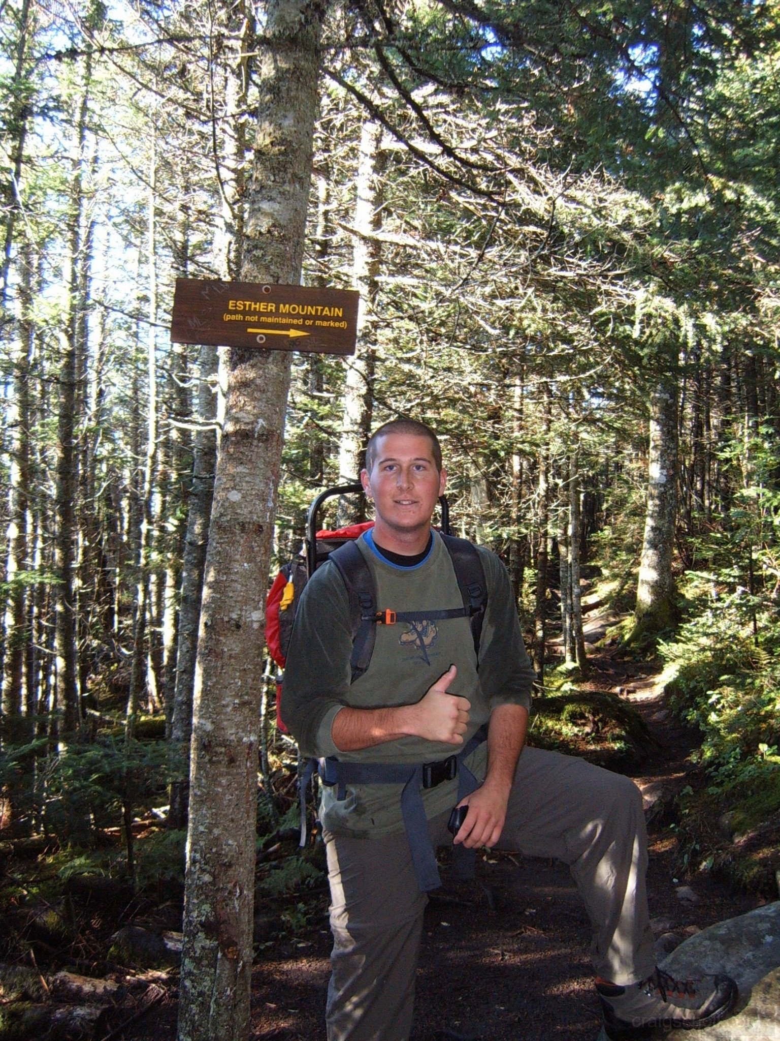 Burl_at_Esther_junction_-_Copy