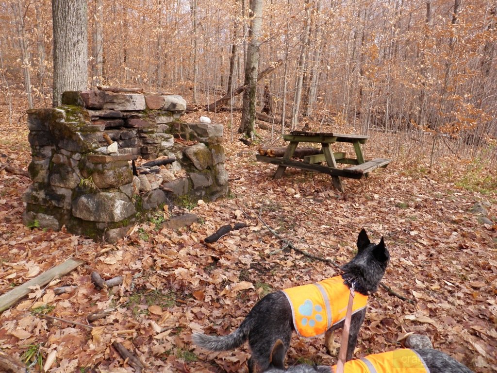 Campsite we pass by on our way up
