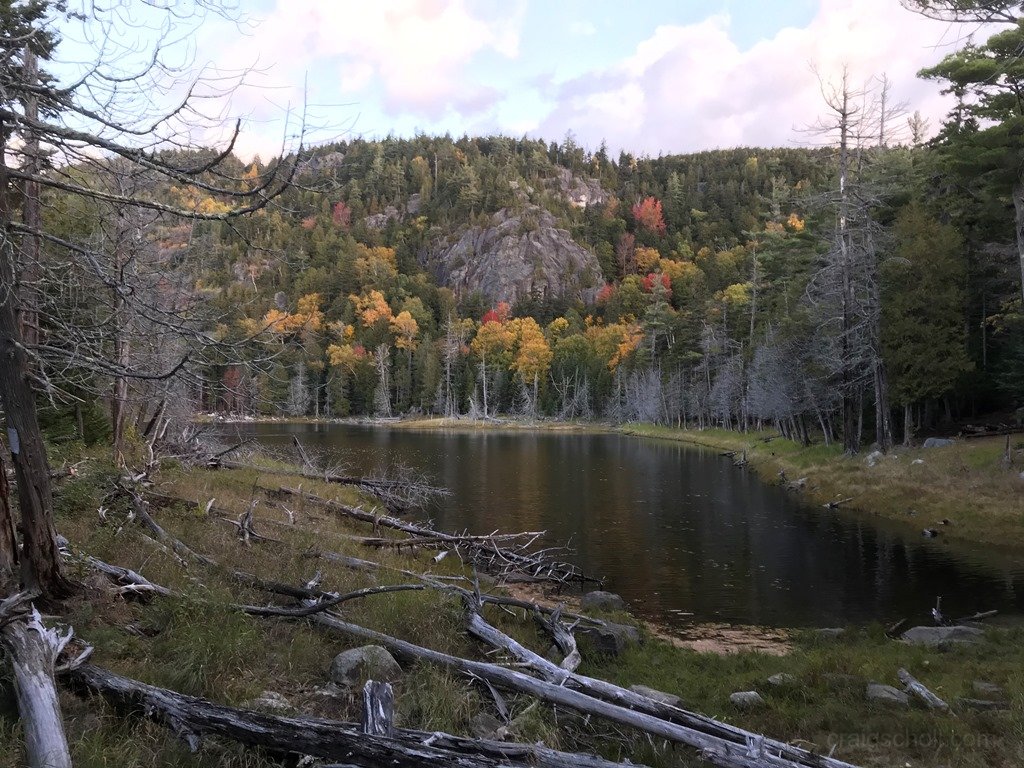 Colors and reflection