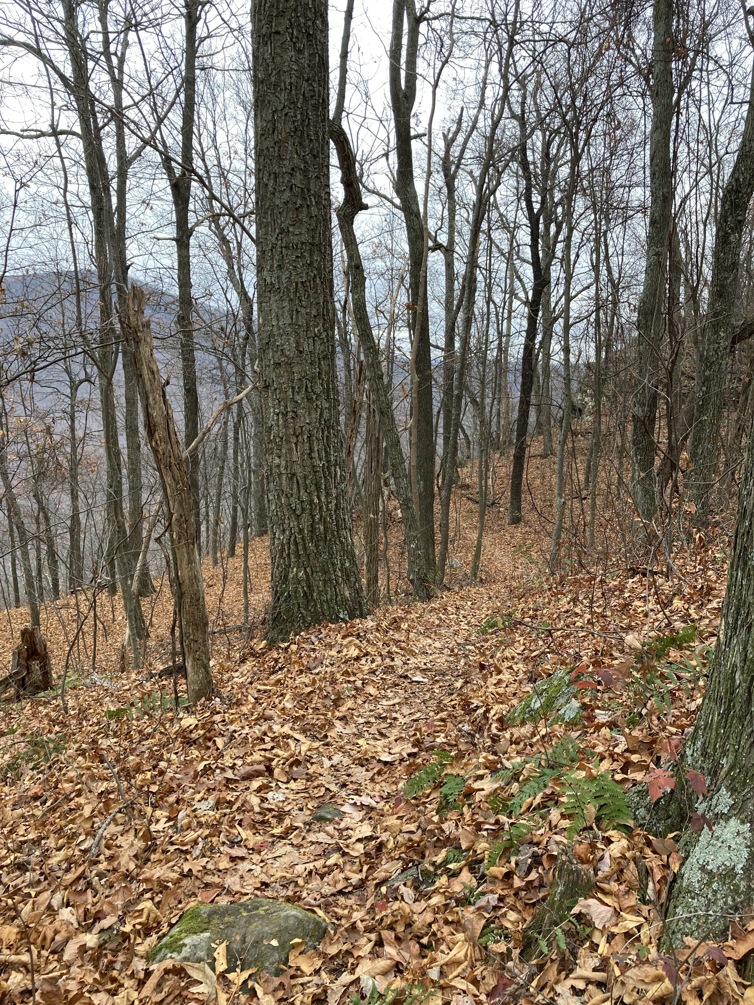 Coming up on the ledge