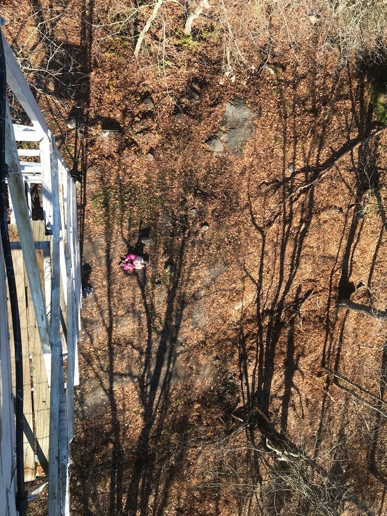 Danie and Hattie below