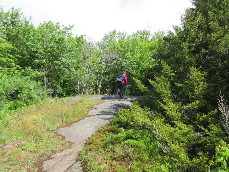 Danie looking for surveyor pin