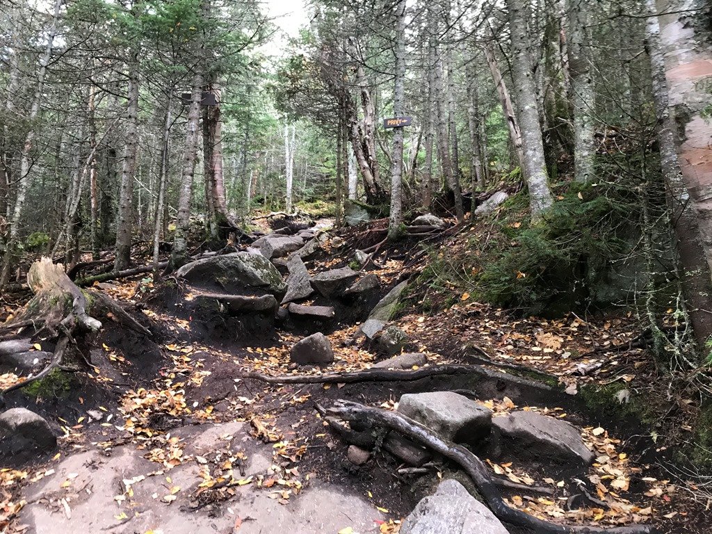 Did you want more rocks