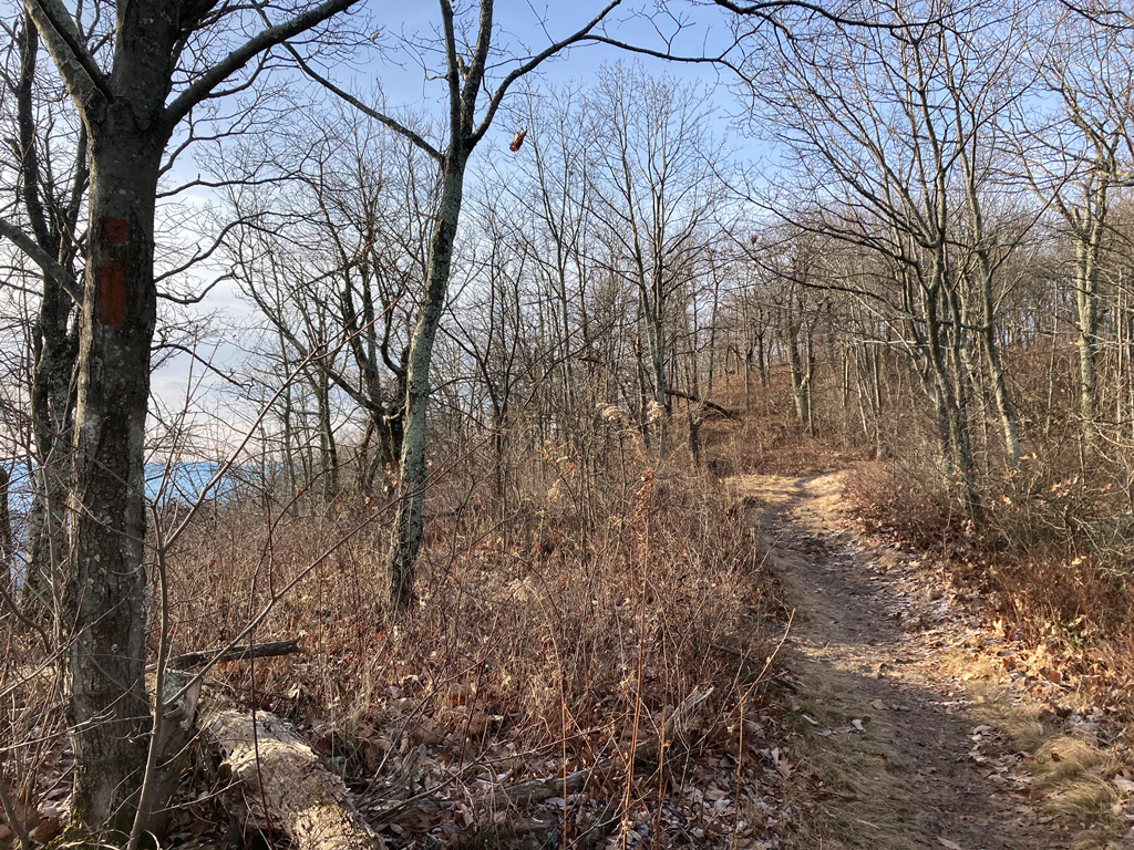 Early morning shadows