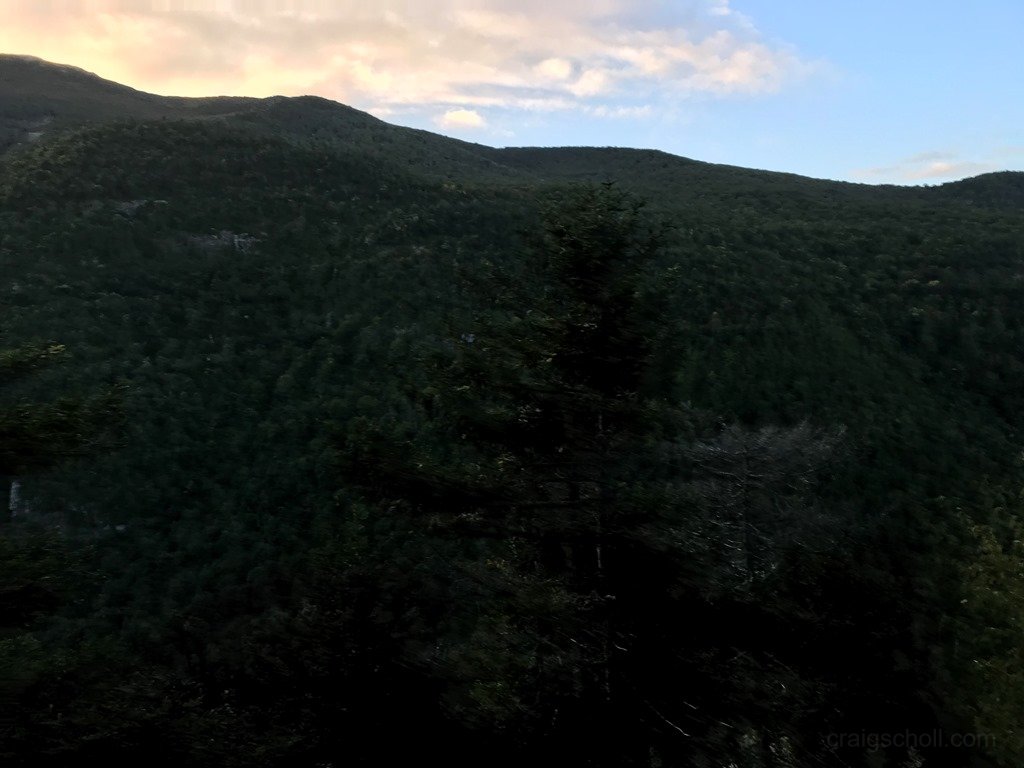 Early morning silhouette