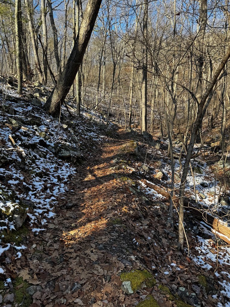 Early morning trail