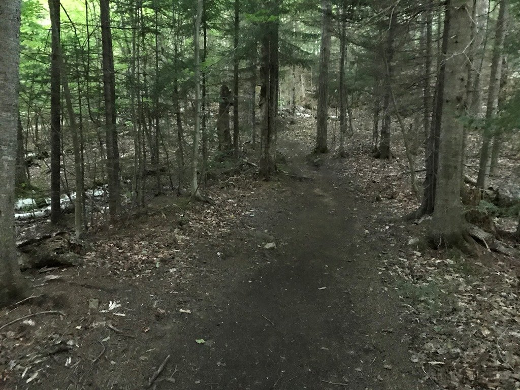 Early part of the trail.