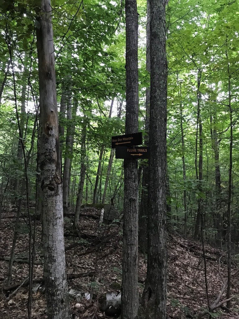 Easy to follow signage