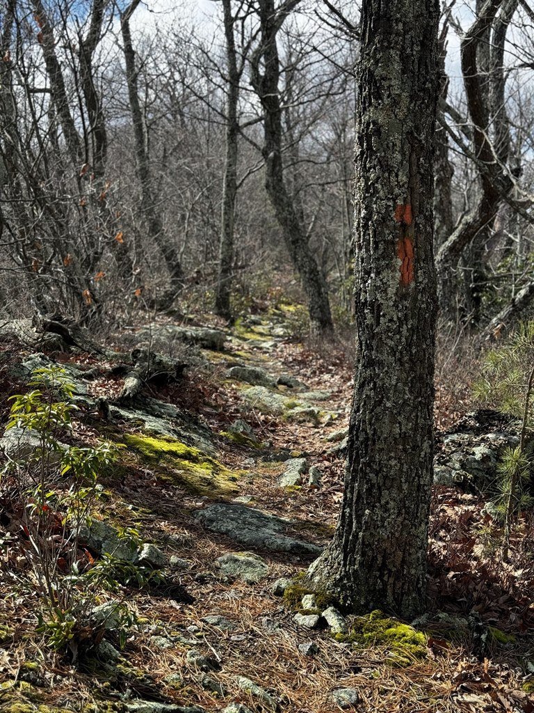 Easy To Follow Trail.jpg