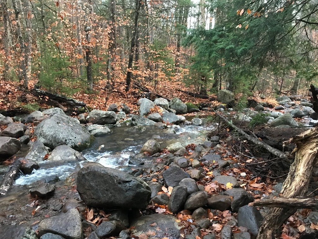 Filtered water is the best