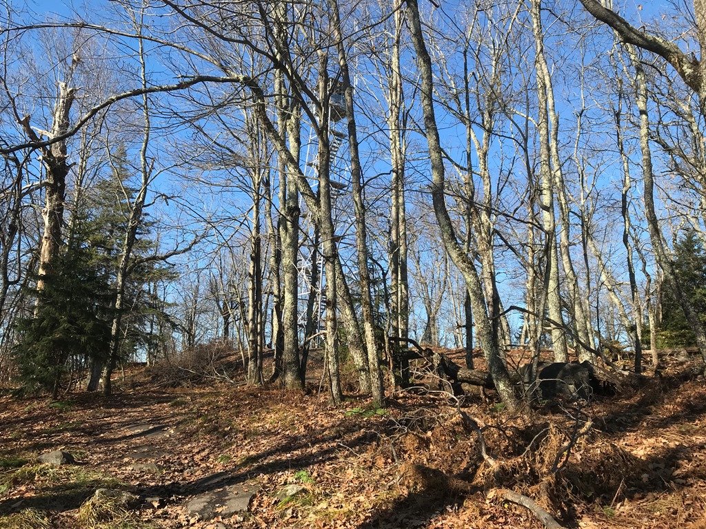 First view of tower.